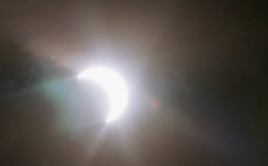 5 times cricket match were stopped for an unusual reason  